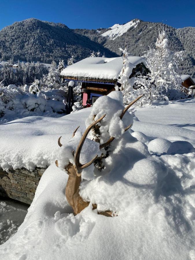 Micro-Lodge, Le Petit Nid D'Amour Montriond Ngoại thất bức ảnh