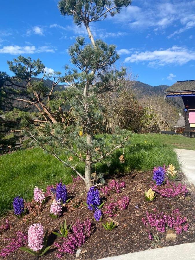 Micro-Lodge, Le Petit Nid D'Amour Montriond Ngoại thất bức ảnh