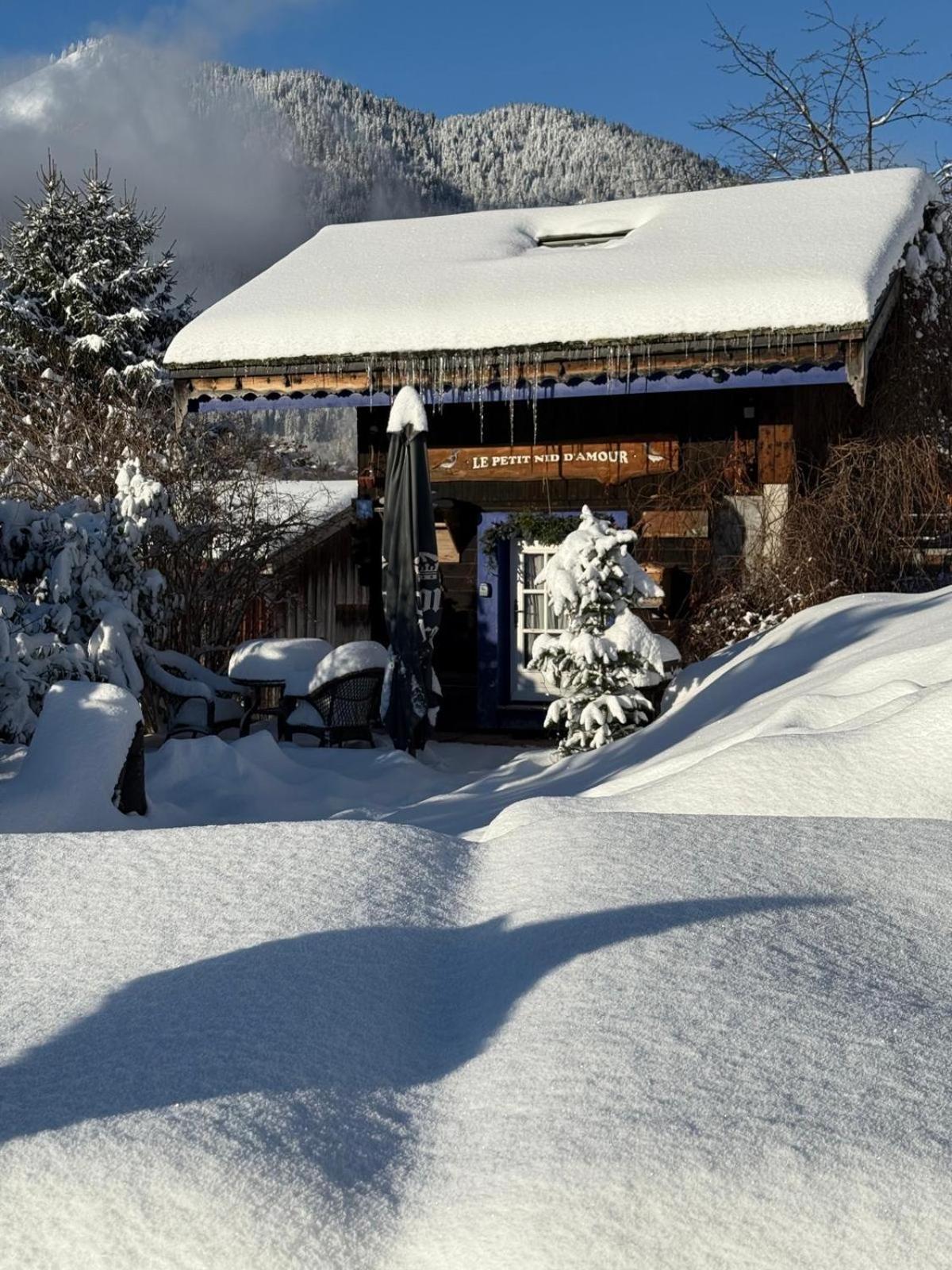 Micro-Lodge, Le Petit Nid D'Amour Montriond Ngoại thất bức ảnh