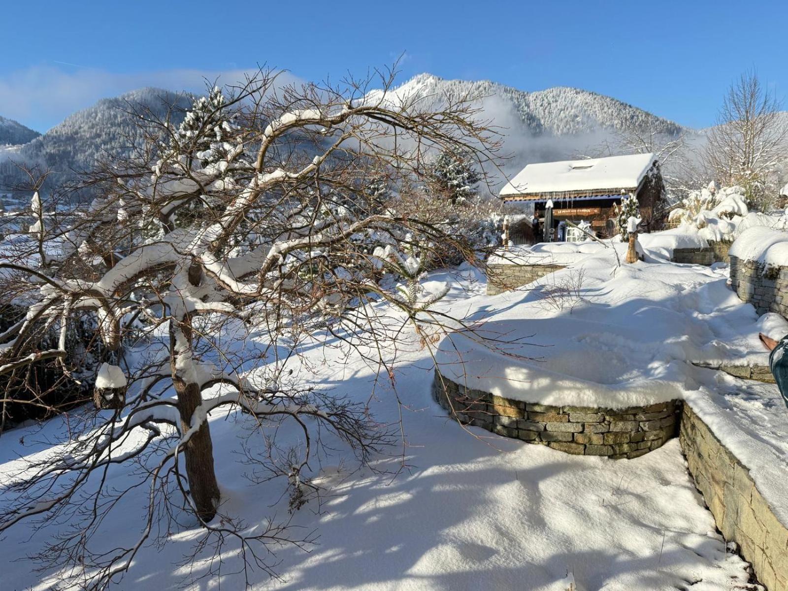 Micro-Lodge, Le Petit Nid D'Amour Montriond Ngoại thất bức ảnh