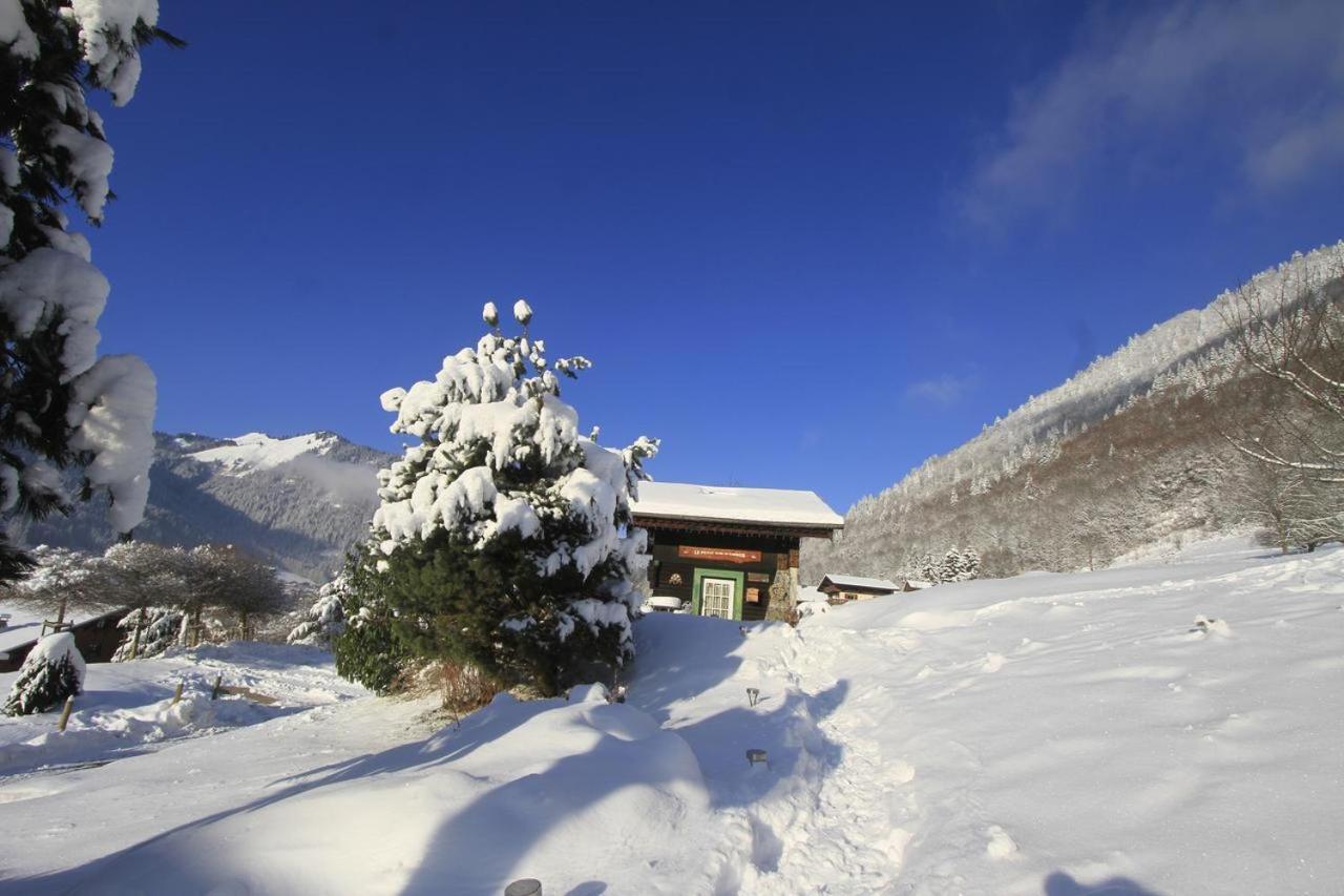 Micro-Lodge, Le Petit Nid D'Amour Montriond Ngoại thất bức ảnh